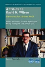 Tribute to David N. Wilson