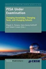 PISA Under Examination