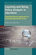 Learning and Doing Policy Analysis in Education