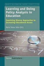 Learning and Doing Policy Analysis in Education