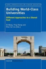 Building World-Class Universities
