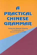 Practical Chinese Grammar