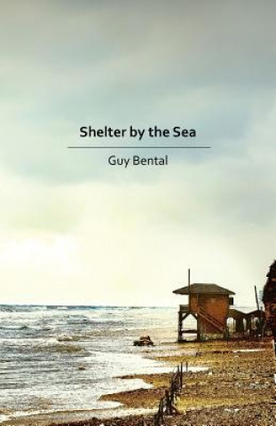 Shelter by the Sea