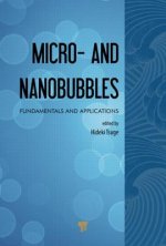 Micro- and Nanobubbles