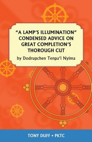 Lamp's Illumination Condensed Advice on Great Completion's Thorough Cut