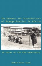 Dynamics and Contradictions of Evangelisation in Africa