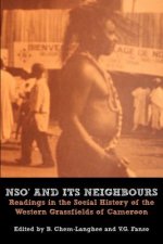 Nso and Its Neighbours