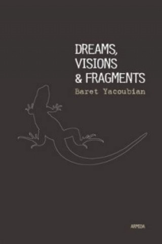 Dreams, Visions & Fragments