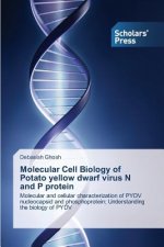 Molecular Cell Biology of Potato Yellow Dwarf Virus N and P Protein