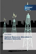 Optimal Resource Allocation in Wireless Networks