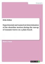 Experimental and numerical determination of the shoreline motion during the run-up of tsunami waves on a plain beach