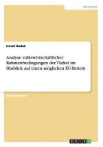 Analyse volkswirtschaftlicher Rahmenbedingungen der Turkei im Hinblick auf einen moeglichen EU-Beitritt