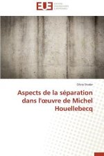 Aspects de la S paration Dans L' Uvre de Michel Houellebecq