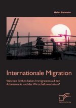 Internationale Migration
