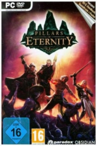 Pillars of Eternity, 1 DVD-ROM