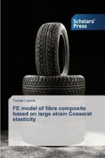 FE model of fibre composite based on large strain Cosserat elasticity