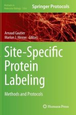 Site-Specific Protein Labeling