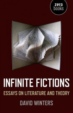 Infinite Fictions - Essays on Literature and Theory