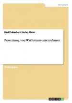 Bewertung von Wachstumsunternehmen