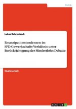 Emanzipationstendenzen im SPD-Gewerkschafts-Verhaltnis unter Berucksichtigung der Mindestlohn-Debatte