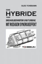 Eine Hybride von Drehkolbenmotor und Turbine mit riesigem Synergieeffekt