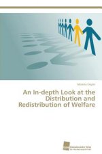 In-depth Look at the Distribution and Redistribution of Welfare
