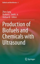 Production of Biofuels and Chemicals with Ultrasound