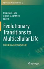 Evolutionary Transitions to Multicellular Life