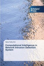 Computational Intelligence in Network Intrusion Detection System