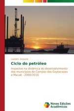 Ciclo do petroleo