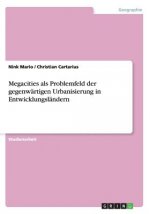 Megacities als Problemfeld der gegenwärtigen Urbanisierung in Entwicklungsländern