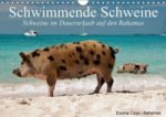 Schwimmende Schweine / Geburtstagskalender (Wandkalender immerwährend DIN A4 quer)