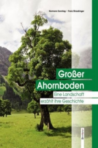 Großer Ahornboden