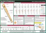 Blockflötenschule, Infotafel