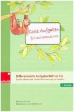 Coole Aufgaben für zwischendurch