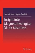 Insight into Magnetorheological Shock Absorbers