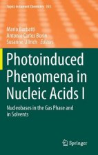Photoinduced Phenomena in Nucleic Acids I
