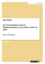 UEberliquidisierung der Weltfinanzmarkte in den Jahren 2001 bis 2005