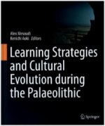 Learning Strategies and Cultural Evolution during the Palaeolithic