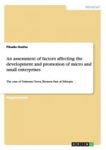 assessment of factors affecting the development and promotion of micro and small enterprises