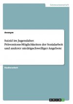 Suizid im Jugendalter. Praventions-Moeglichkeiten der Sozialarbeit und anderer niedrigschwelliger Angebote