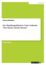 Der Handlungsablauf in Carlo Goldonis 
