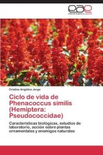 Ciclo de vida de Phenacoccus similis (Hemiptera