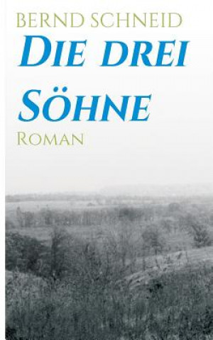 Die drei Soehne