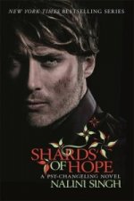 Shards of Hope