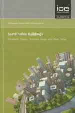 Sustainable Buildings (Delivering Sustainable Infrastructure series)