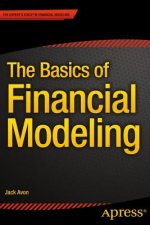 Basics of Financial Modeling