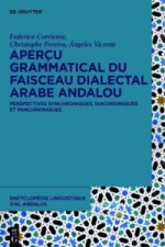 Apercu grammatical du faisceau dialectal arabe andalou