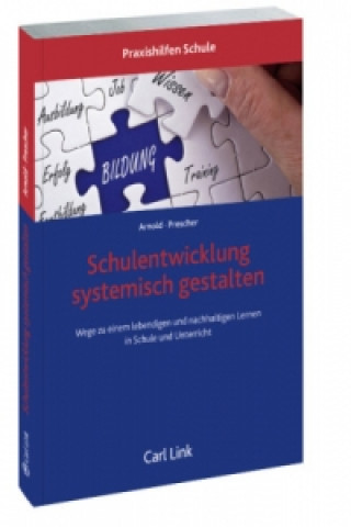 Schulentwicklung systemisch gestalten