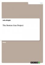 Boston Gun Project